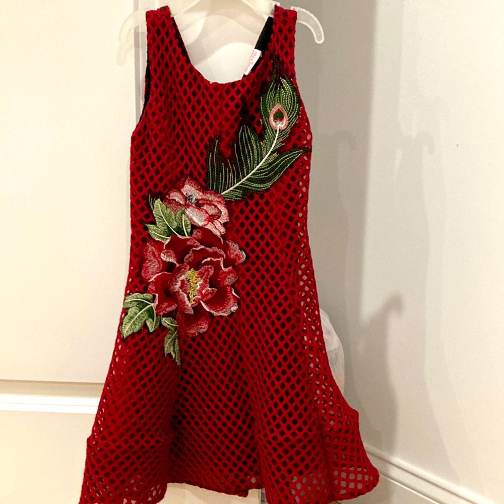 Girls dress, never worn.